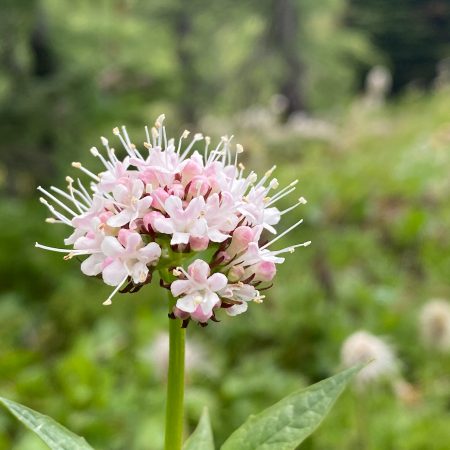 jillian-amatt-artistic-voyages-zTo8OJk_v_0-unsplash